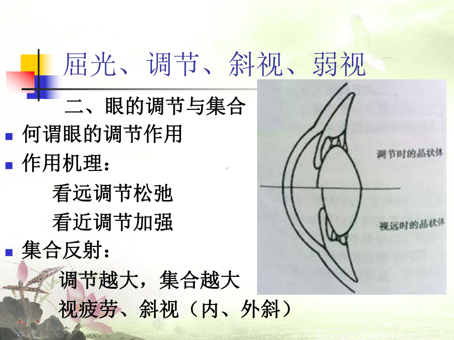 眼的屈光与调节及斜视弱视PPT课件.ppt_第3页