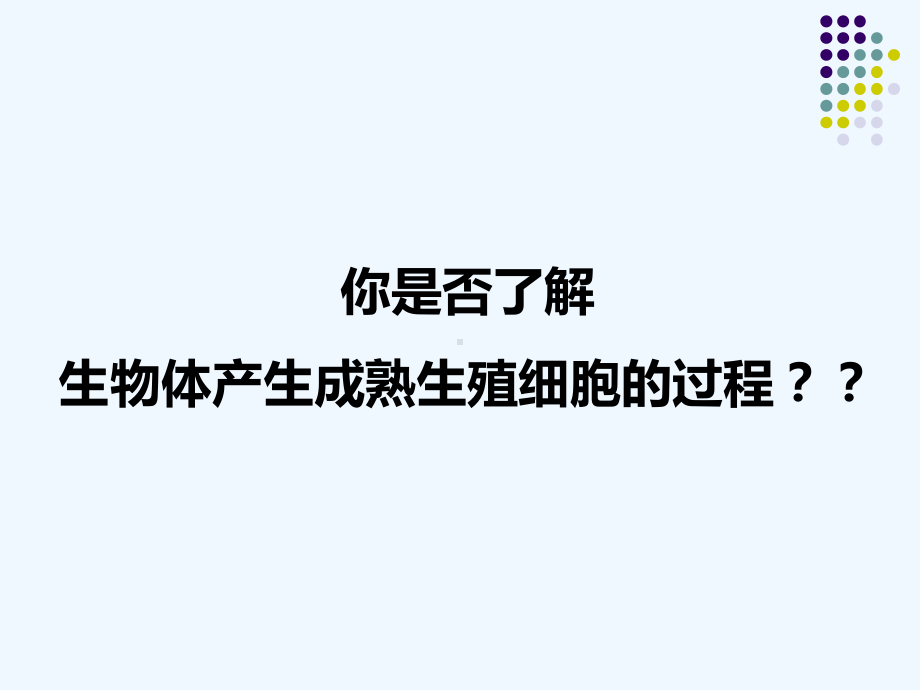 第一节减数分裂中的染色体行为课件.ppt_第3页