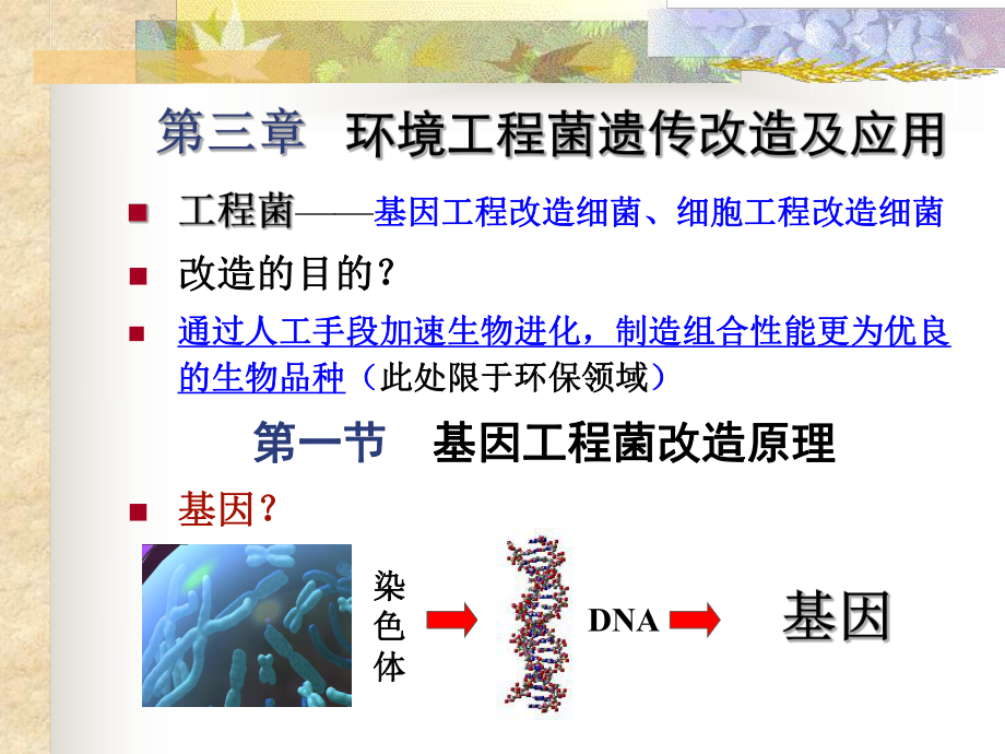 第三章-环境工程菌遗传改造及应用-课件.ppt_第1页