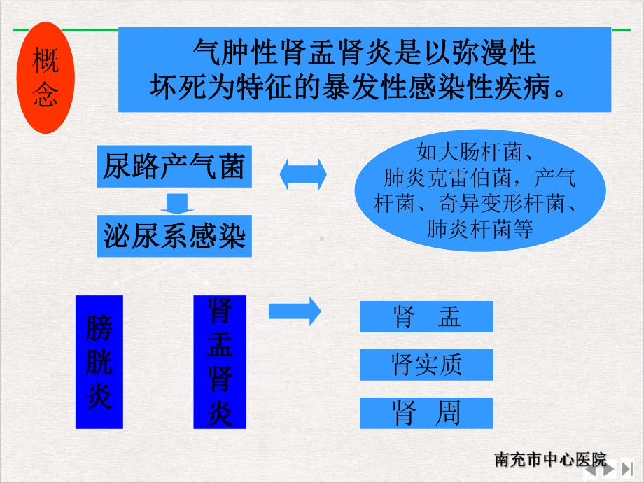 气肿性肾盂肾炎PPT优选课件.ppt_第2页