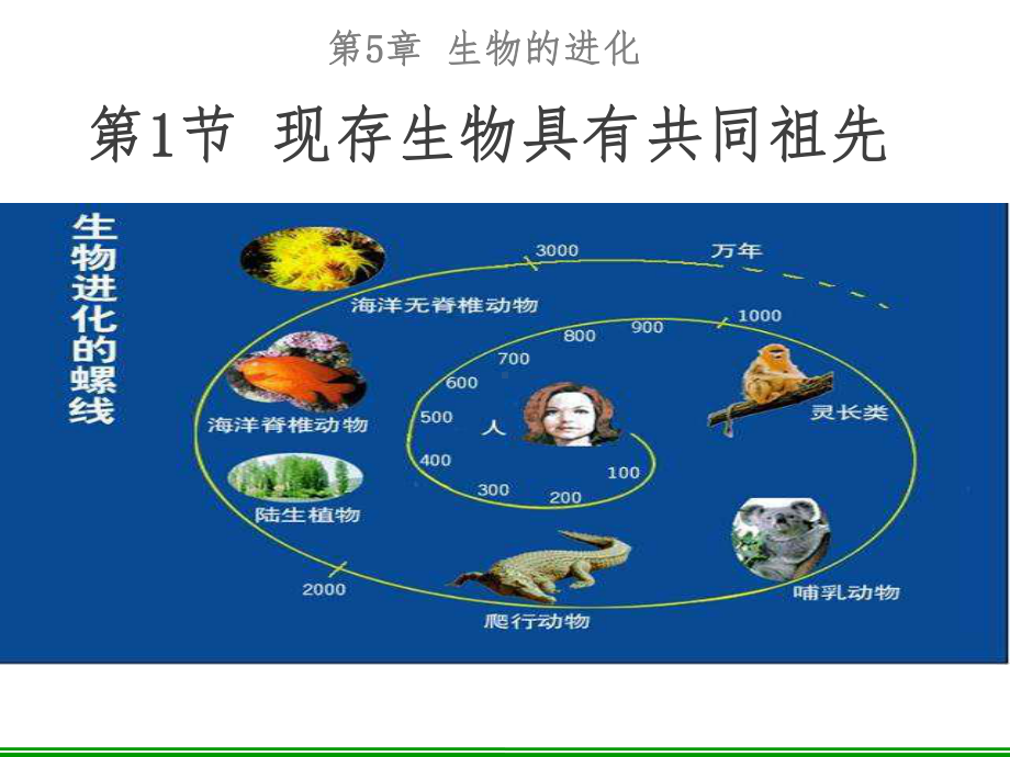 现存生物具有共同的祖先-精品课件.ppt_第1页