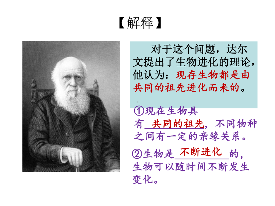 现存生物具有共同的祖先-精品课件.ppt_第3页