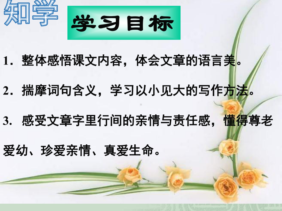 部编版七年级初一语文上册《散步》课件（教研公开课）.ppt_第3页