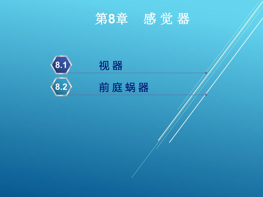 正常人体结构第8章课件.ppt_第2页