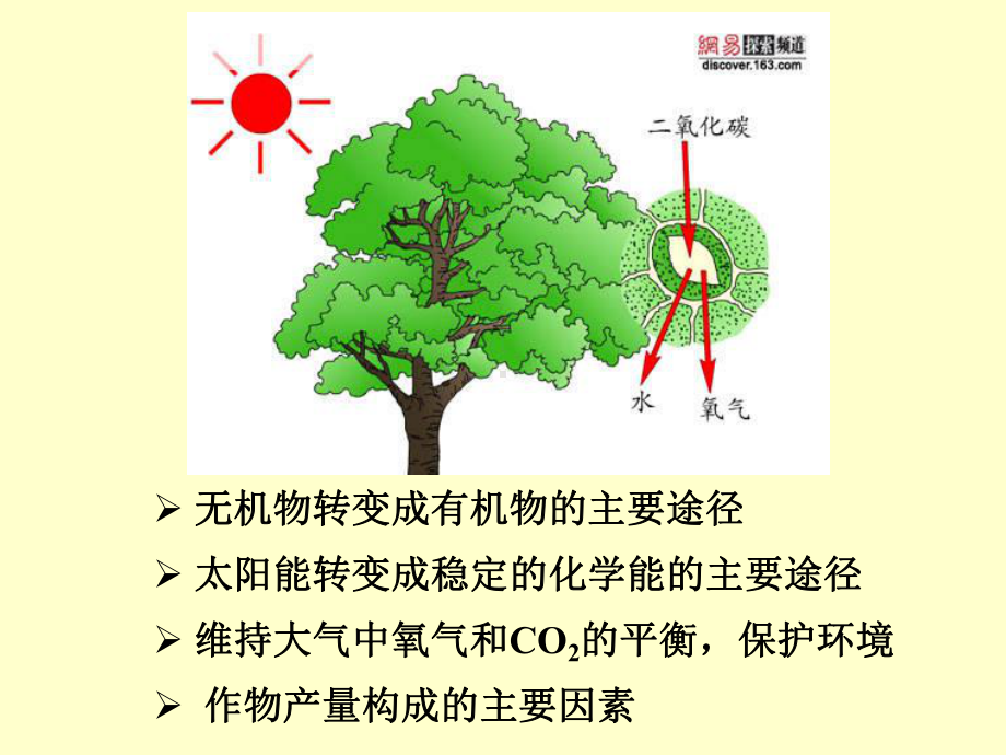 植物栽培生理学第三章课件.ppt_第3页