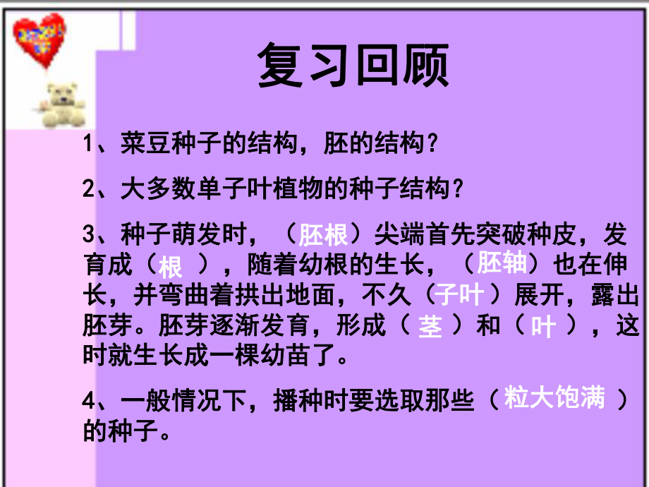 种子萌发的条件PPT课件2-课件.ppt_第1页