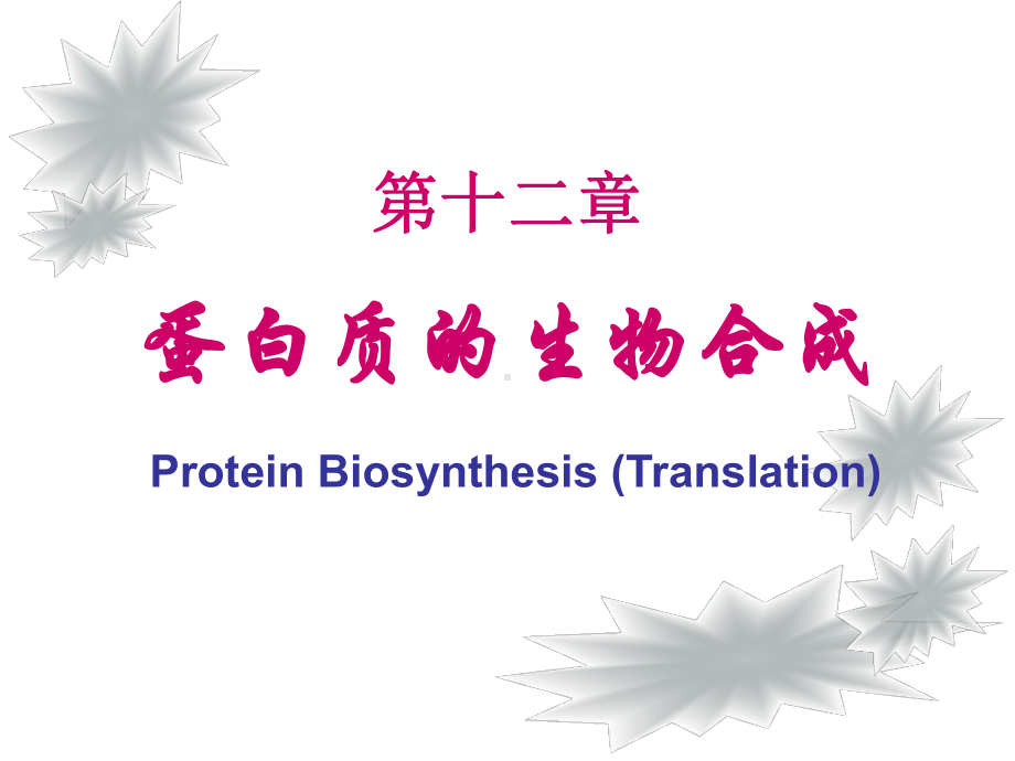 第12章-蛋白质生物合成课件.ppt_第1页