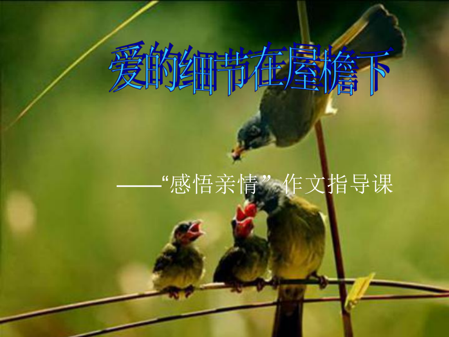 爱的细节在屋檐下-“感悟亲情”作文指导课ppt课件.ppt_第1页