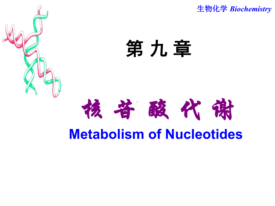 第9章-核苷酸代谢课件.ppt_第1页