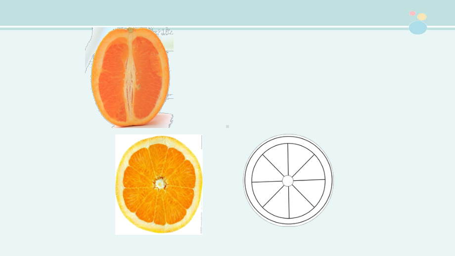 橙子变变变-公开课PPT课件.ppt_第3页