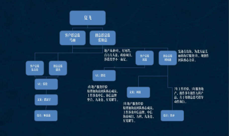 某项目方案.ppt_第2页