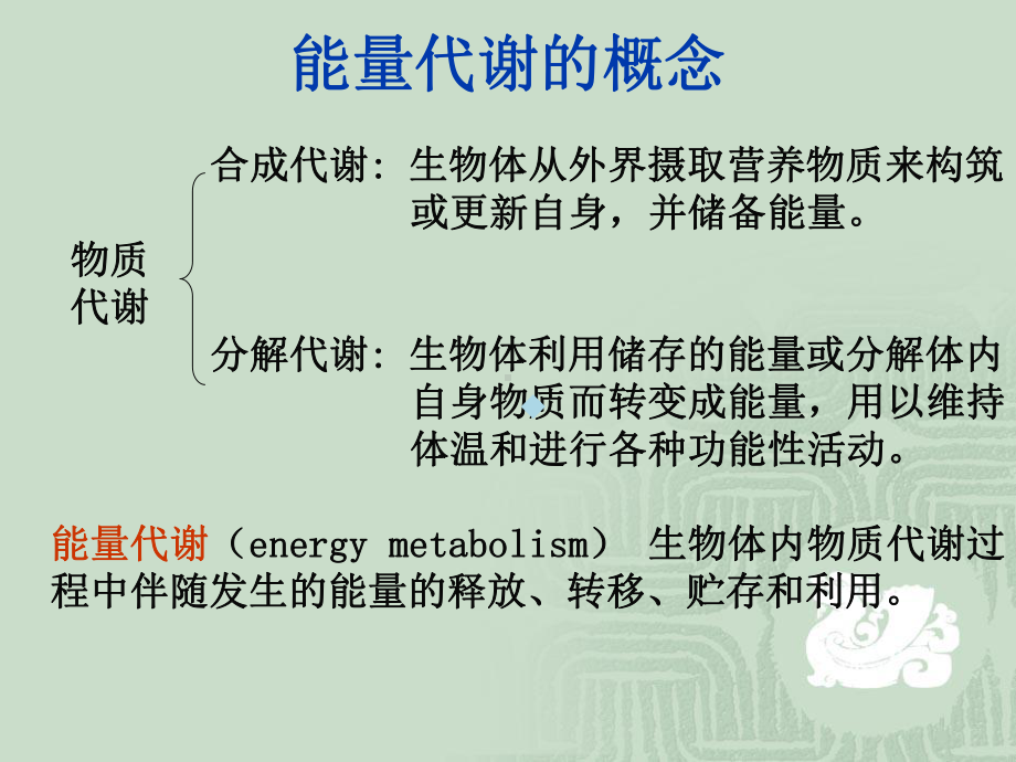 生理学第七章能量代谢与体温课件.ppt_第2页