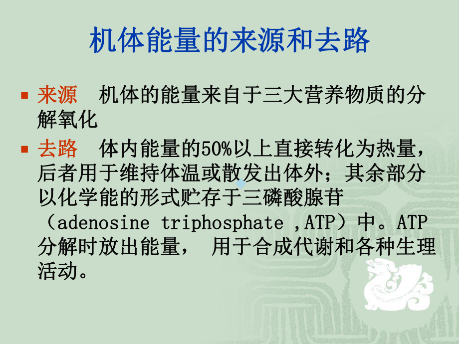 生理学第七章能量代谢与体温课件.ppt_第3页