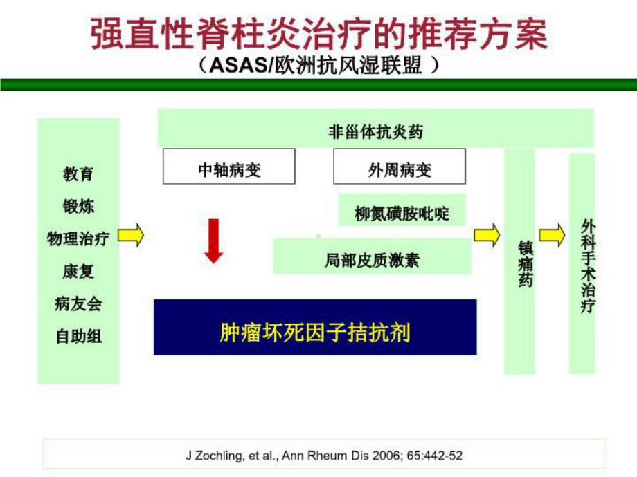 益赛普治疗强直性脊柱炎ppt课件.ppt_第3页