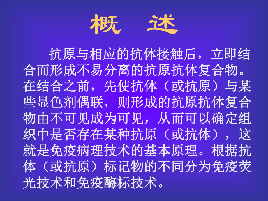 皮肤病免疫荧光基底膜线状C课件3.ppt_第3页