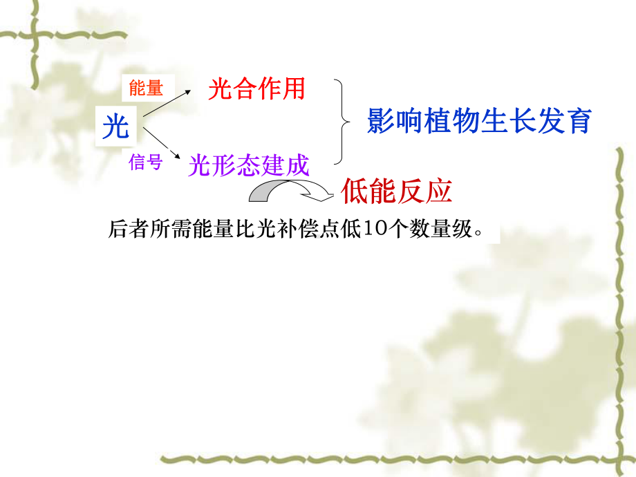 第七章-光形态建成课件.ppt_第2页