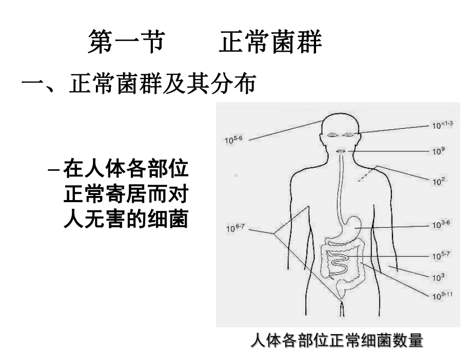 条件致病性感染课件.ppt_第2页