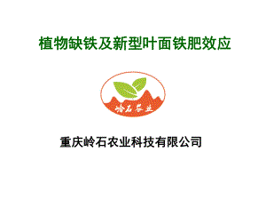 植物缺铁及新型叶面铁肥效应课件.pptx