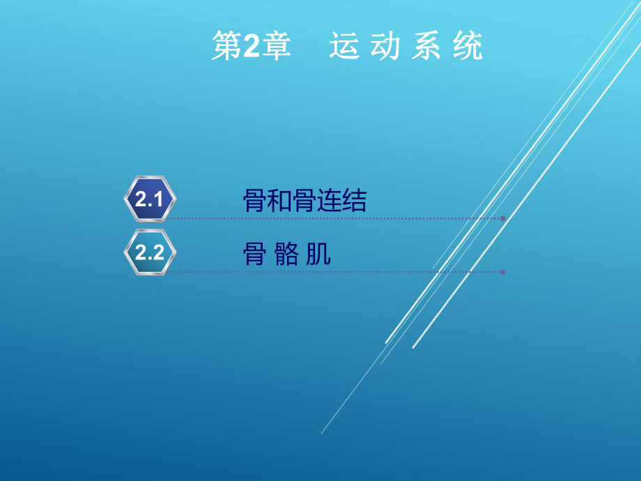 正常人体结构第2章课件.ppt_第2页