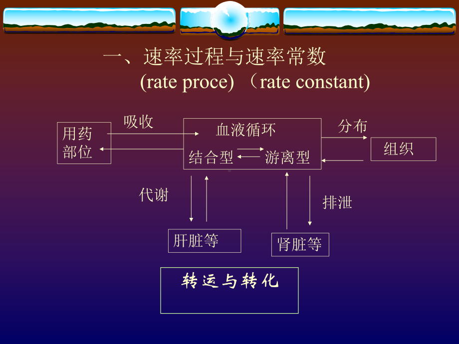 第三讲临床药代动力学与给药方案.ppt_第3页