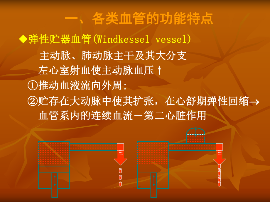 生理血液循环(精品PPT)课件.ppt_第3页