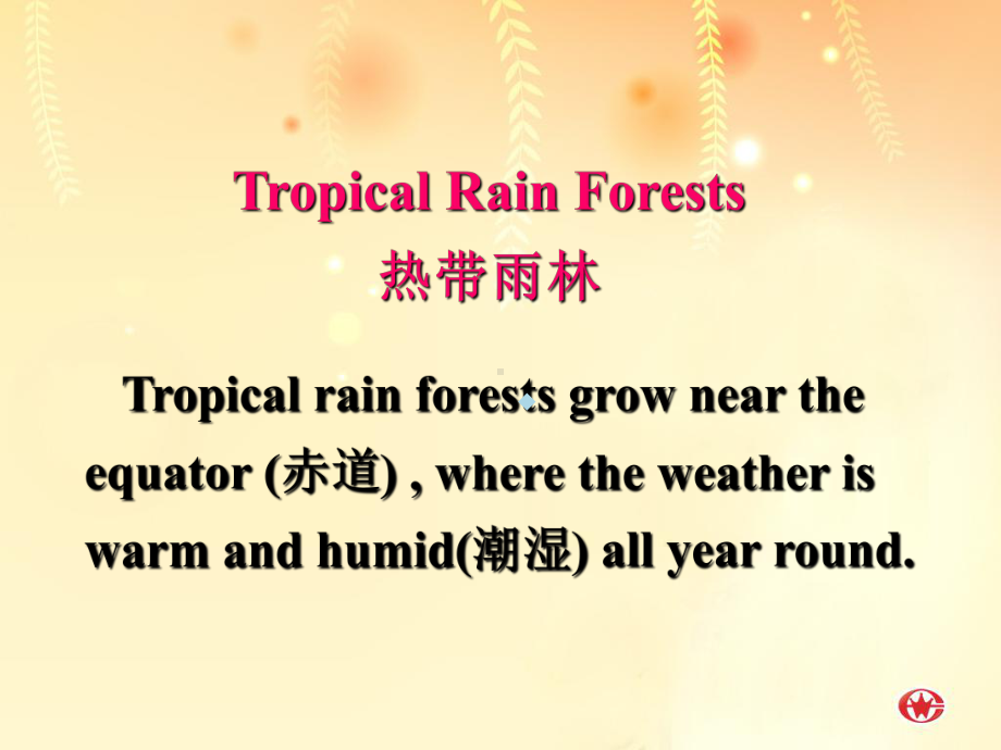 热带雨林课件.ppt_第2页