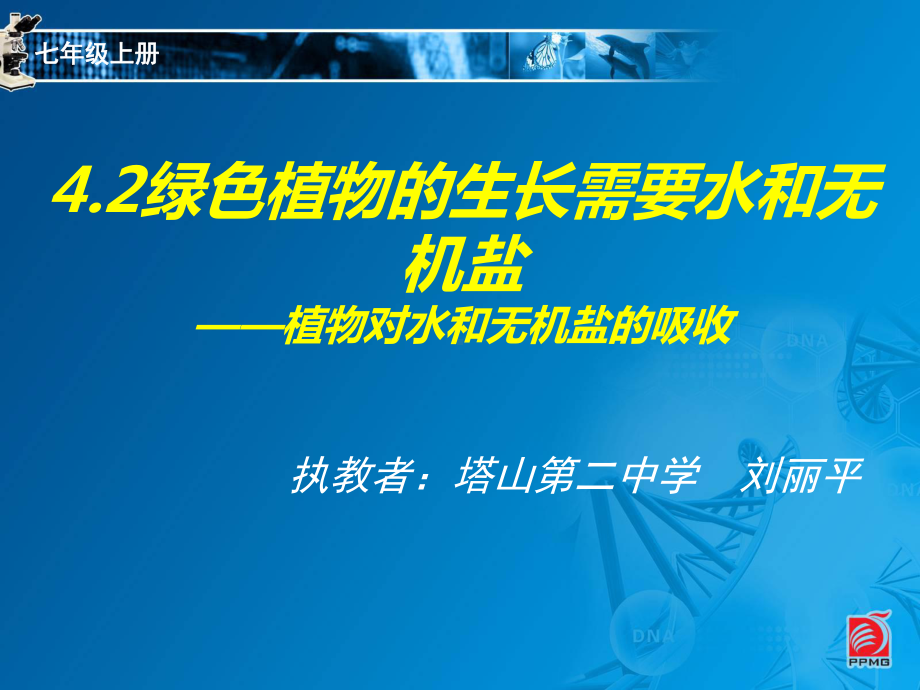 植物对水分的吸收课件.ppt_第1页