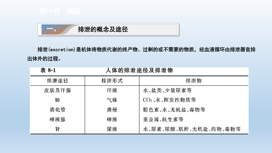 生理学第八章-尿的生成与排出课件.ppt_第2页