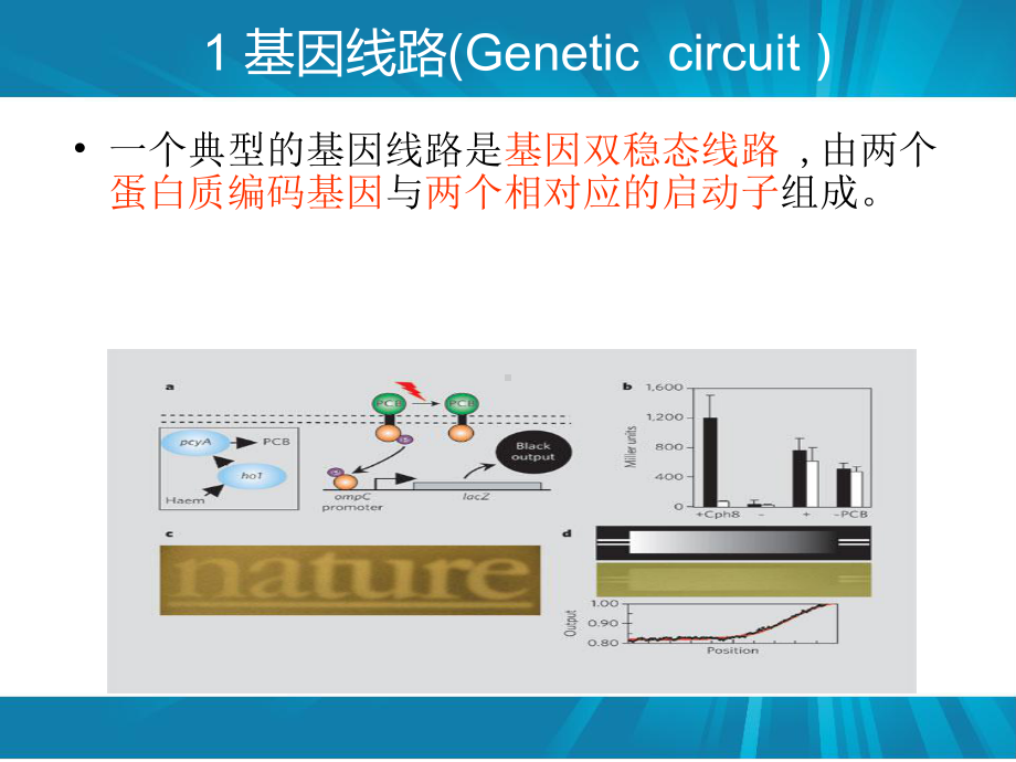 第九章-合成生物学课件.ppt_第3页