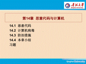 第12章恶意代码与计算机病毒的防治课件.ppt