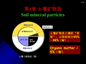 第1章-土壤矿物质课件.ppt