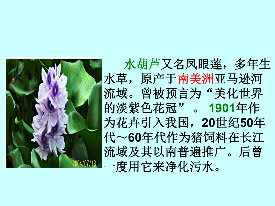 生物入侵者-----公开课课件(1).ppt_第2页