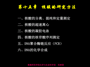 核酸的研究方法课件.ppt