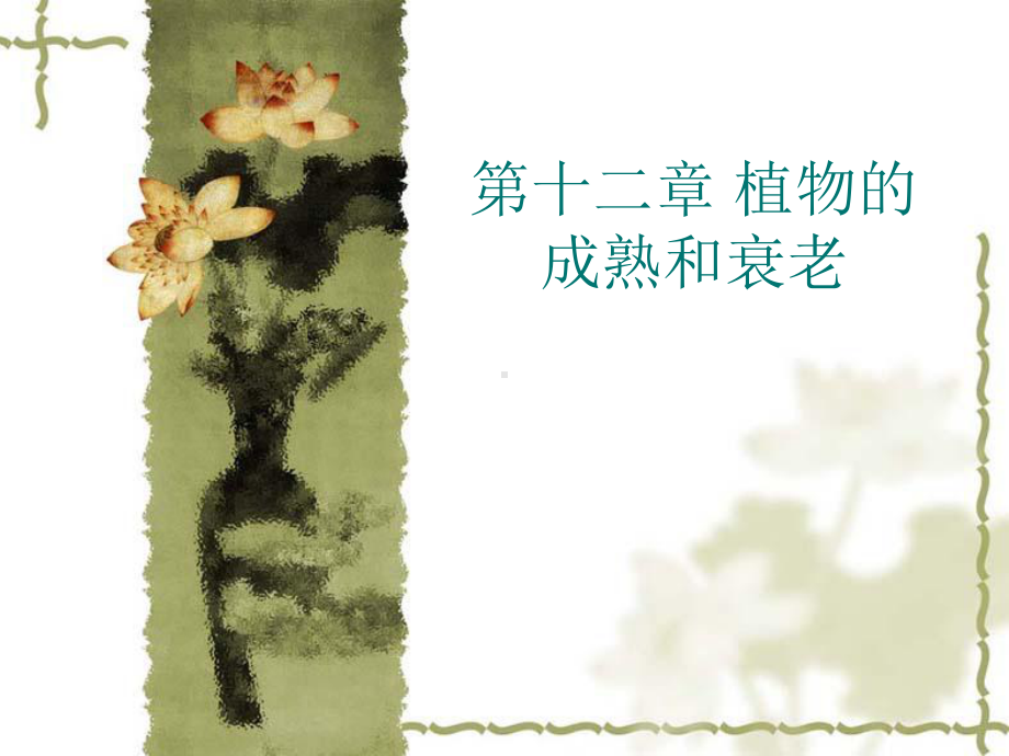 第十章-植物的成熟和衰老课件.ppt_第1页