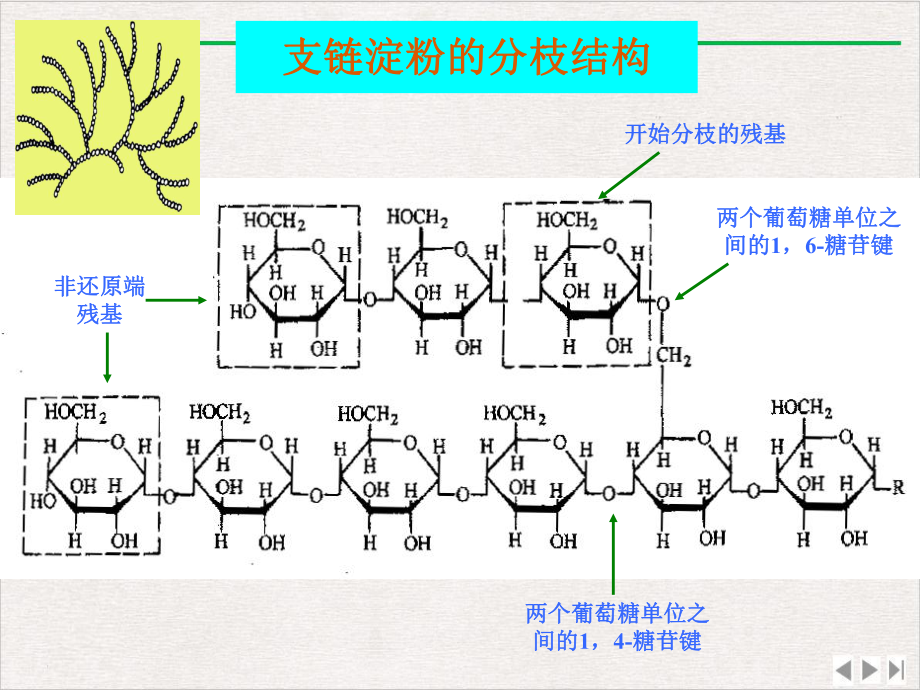 生化实验淀粉酶活性的测定课件PPT.pptx_第2页