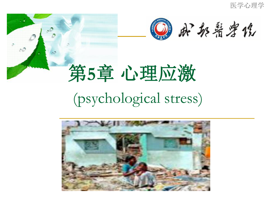 第5章心理应激课件.ppt_第2页