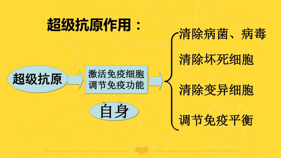 植物干细胞PPT课件.ppt_第3页