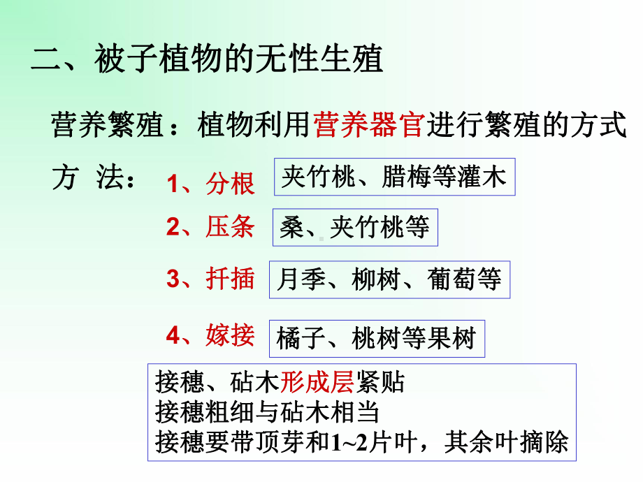 植物生殖方式的多样性课件1.ppt_第2页