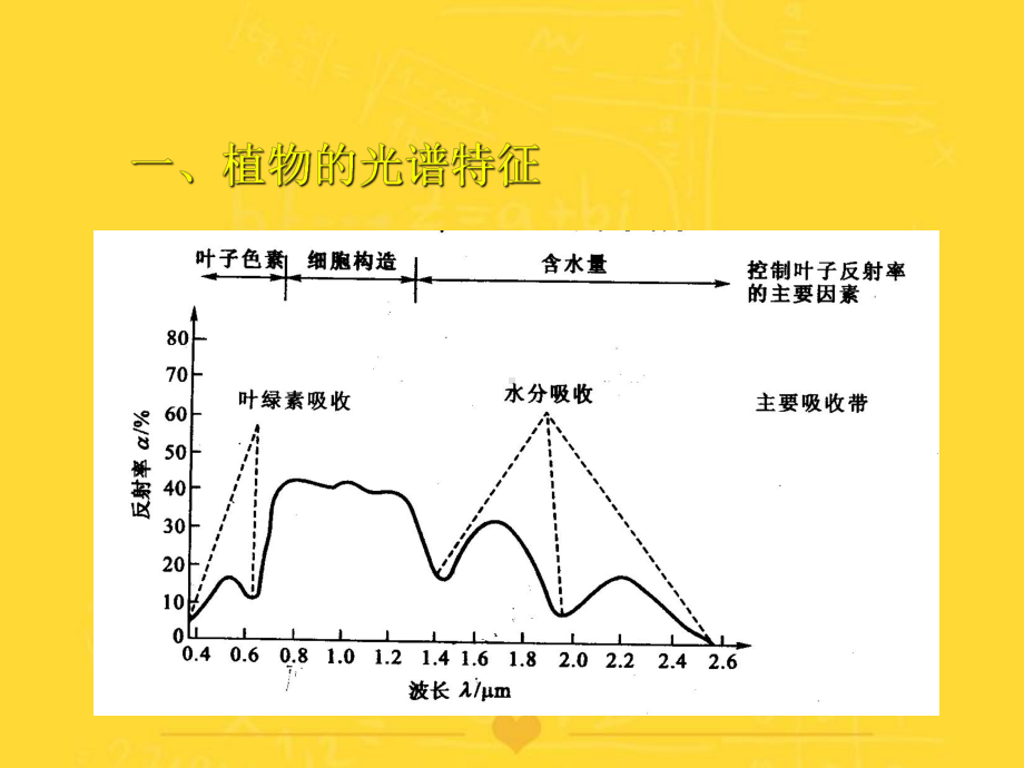 植被遥感光谱分析PPT实用课件.ppt_第3页