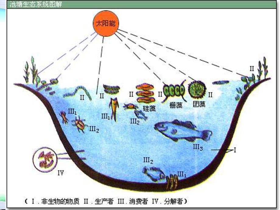 环境材料学第7章材料工业生态学课件.ppt_第3页