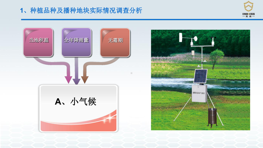 现代农业全程解决方案.ppt_第3页