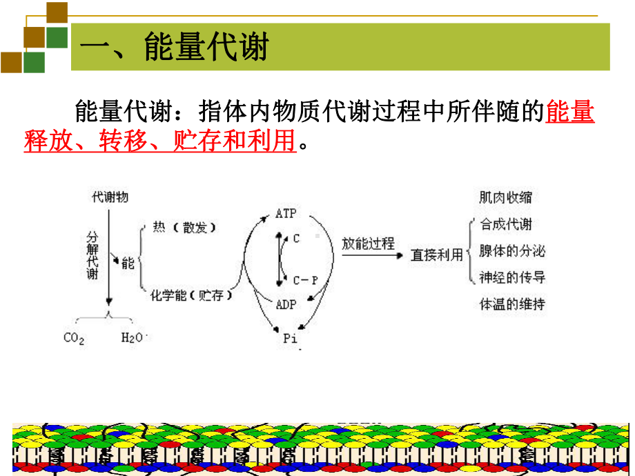 第七章能量代谢分解课件.ppt_第3页