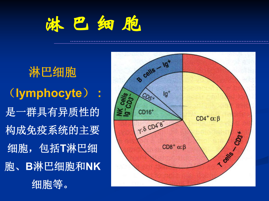 淋巴细胞and免疫应答概述课件.ppt_第3页