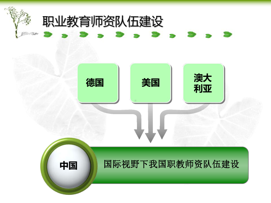 澳大利亚职业教育的师资队伍建设主要体现在师资培养课件.ppt_第3页