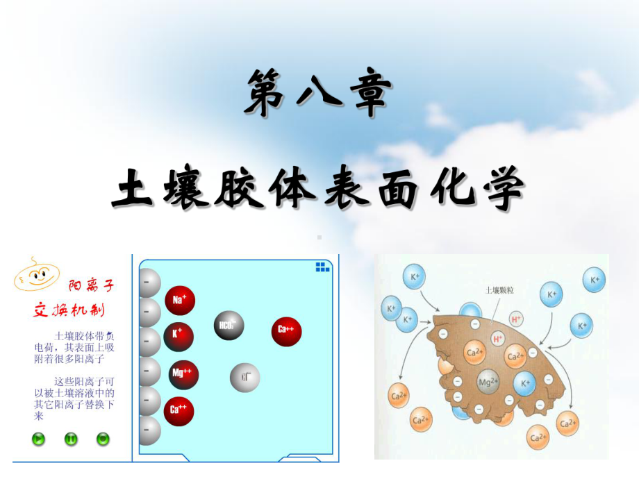 第八章土壤胶体表面化学课件.ppt_第1页