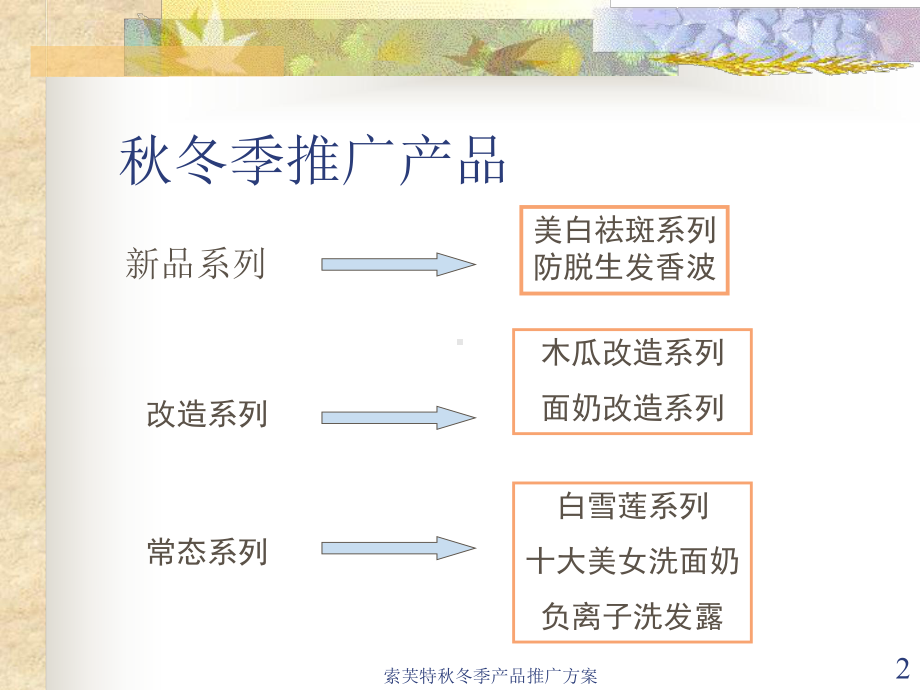 某化妆品营销策划(ppt可编辑修改)课件.ppt_第2页