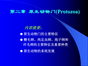 第三章原生动物门Protozoa课件.ppt