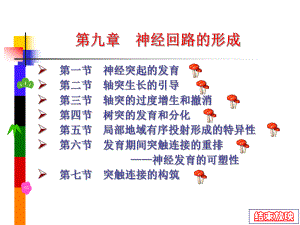 第九章-神经回路的形成课件.ppt