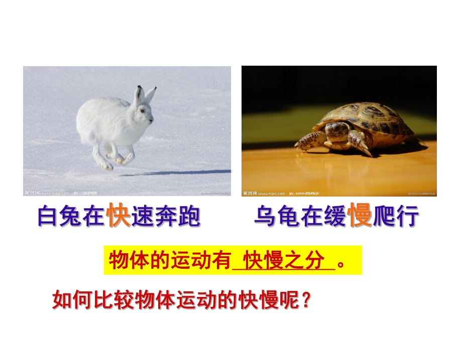 比较运动的快慢课件.ppt_第3页