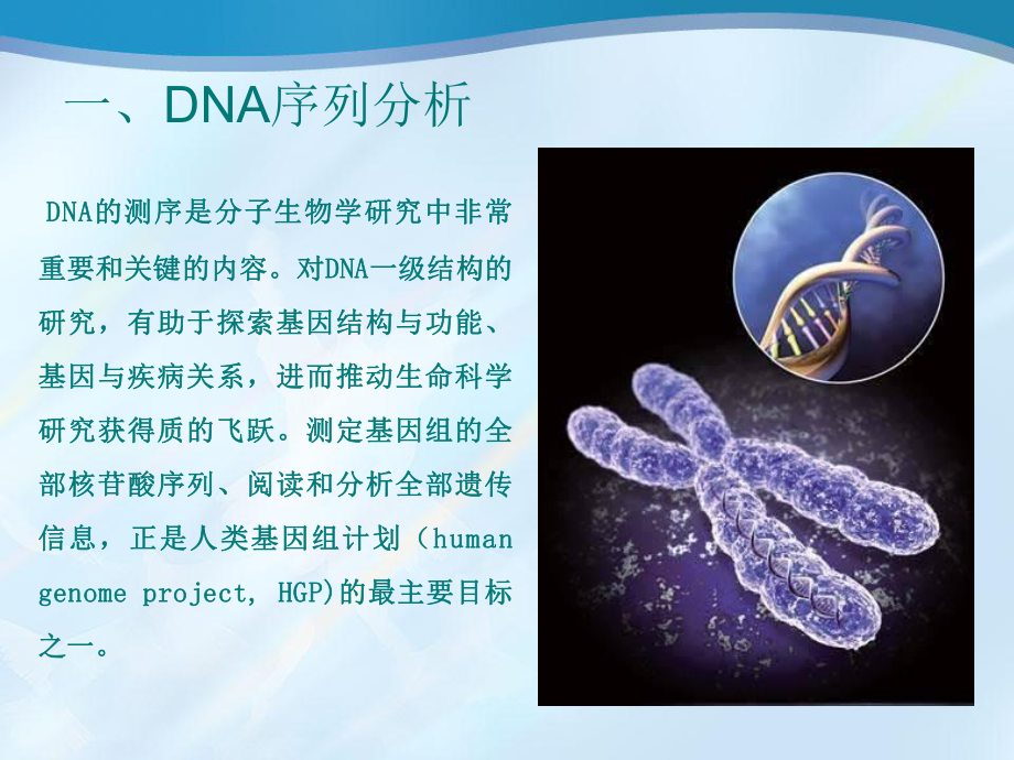 核酸序列分析与DNA计算课件.ppt_第3页